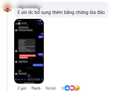 Nhiều bình luận cho rằng bản thân đã từng là nạn nhân của My
