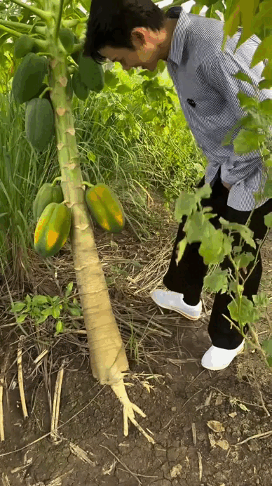 Bên trong cơ ngơi rộng 3.000m² của