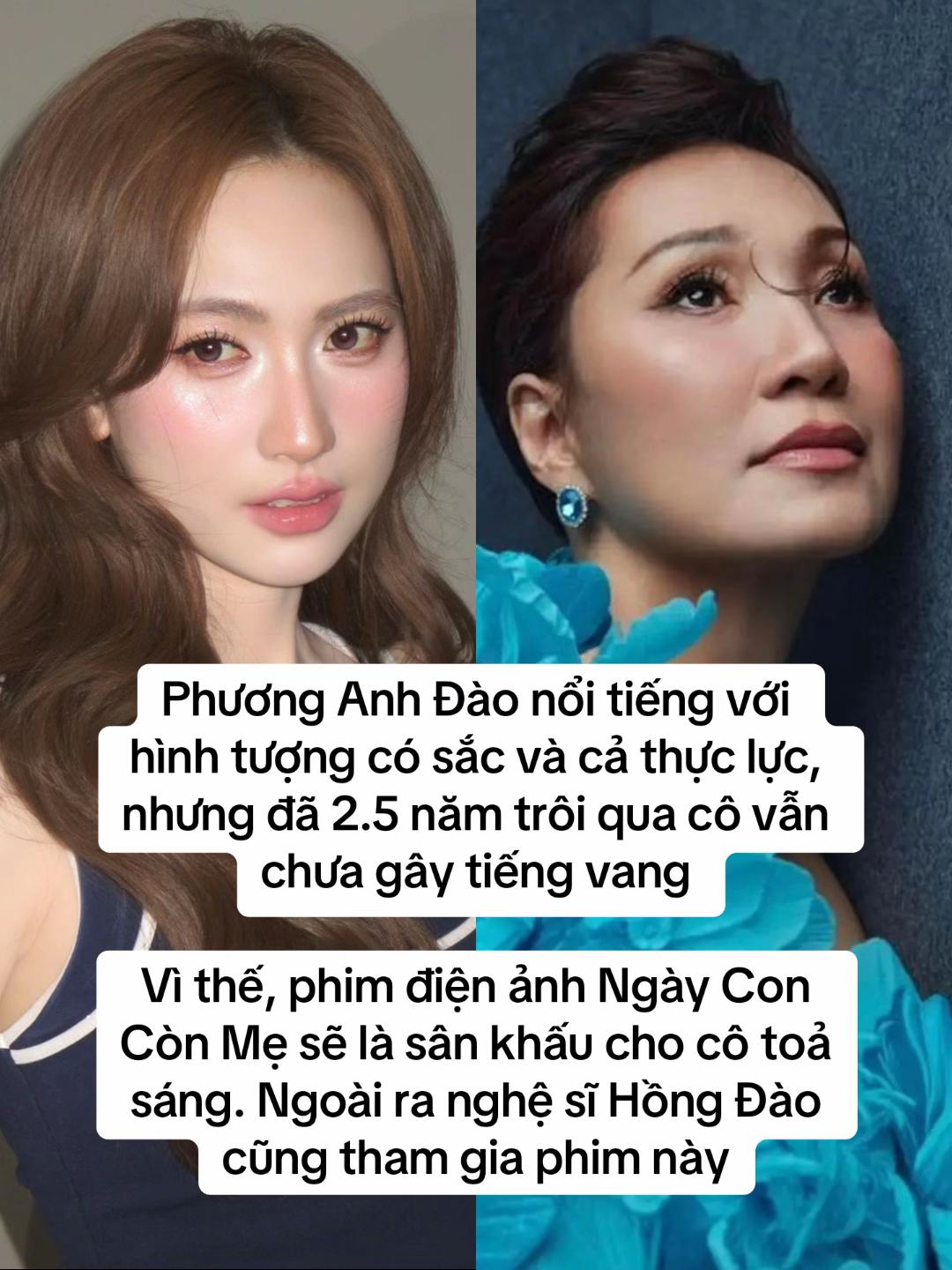 Hết kiên nhẫn với Phương Anh Đào