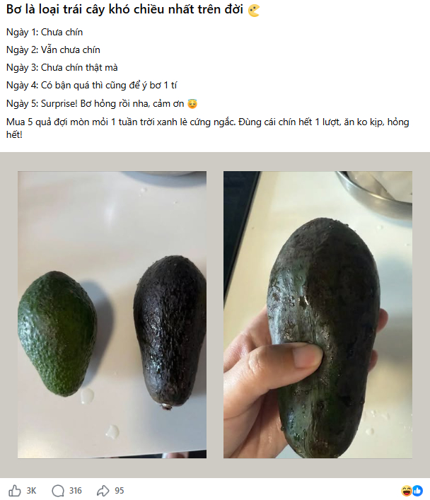 Loại quả 