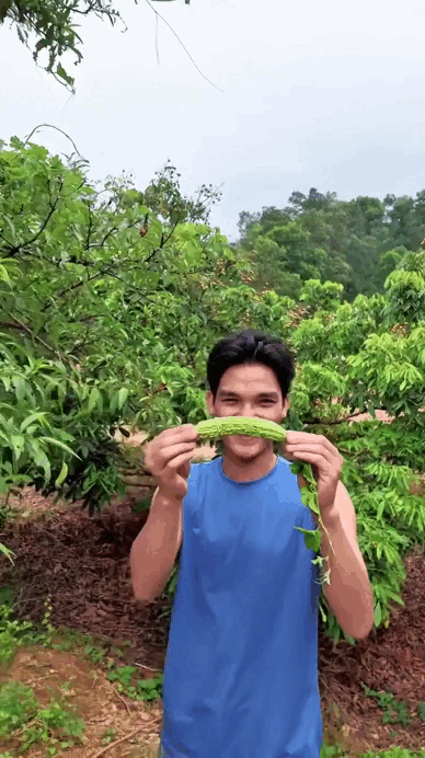 Khu vườn thêm trù phú với sự xuất hiện của mướp đắng và mướp