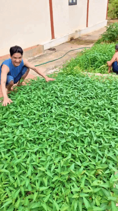 Mạc Văn Khoa hào hứng khoe luống rau muống và rau đay phát triển xanh tốt