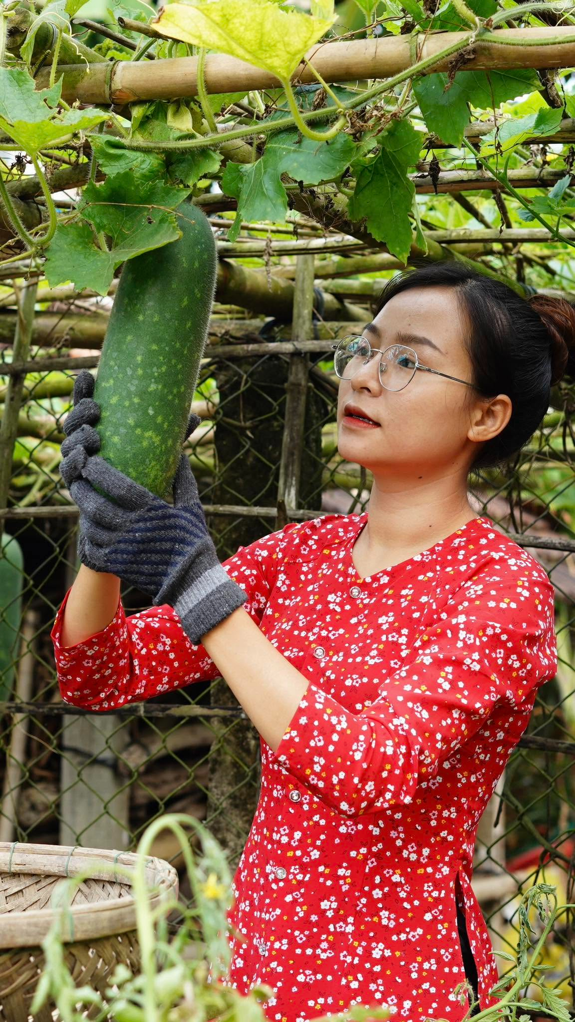 Út Về Vườn đang vướng vào chuyện gì?