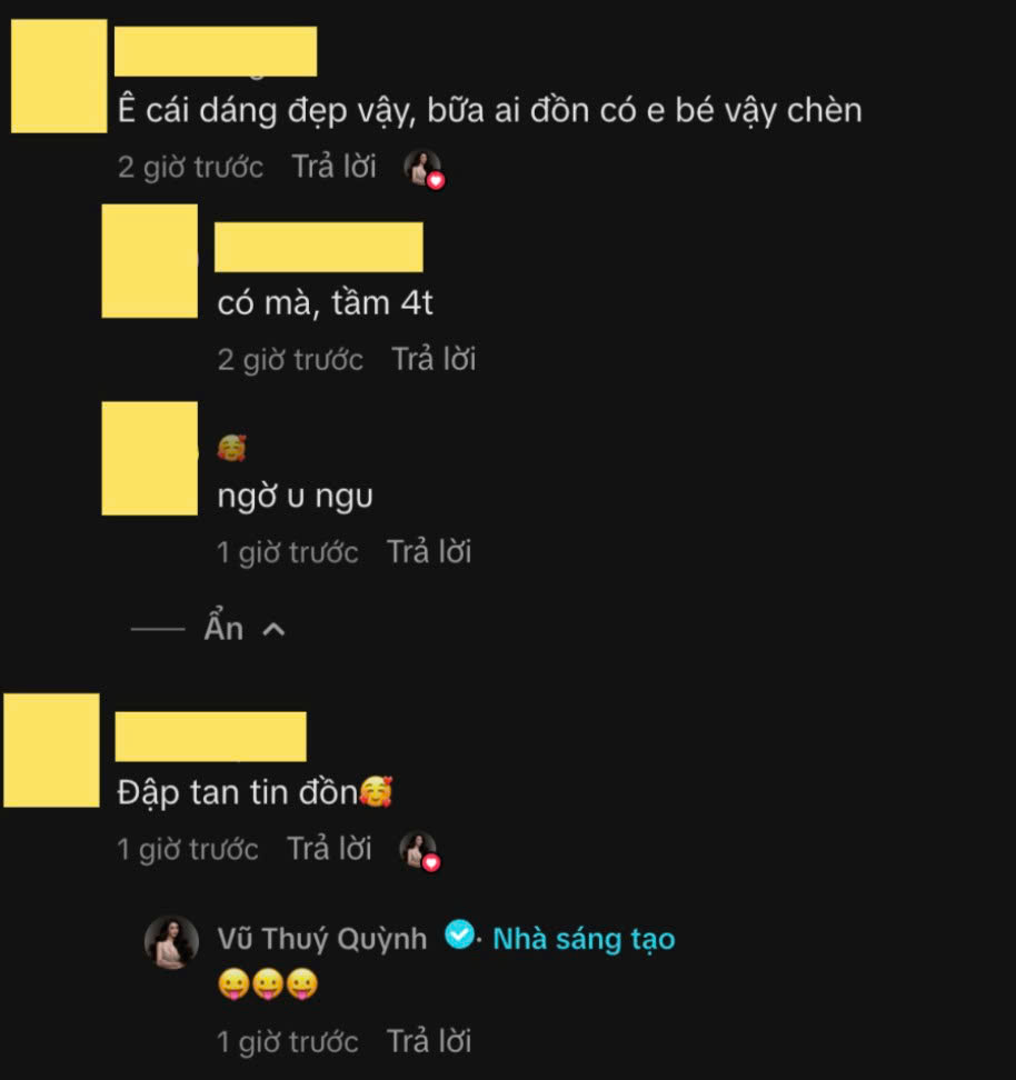 Á hậu Vũ Thuý Quỳnh liên tục phản hồi ẩn ý những bình luận bàn luận về chuyện con cái. Ảnh: Chụp màn hình