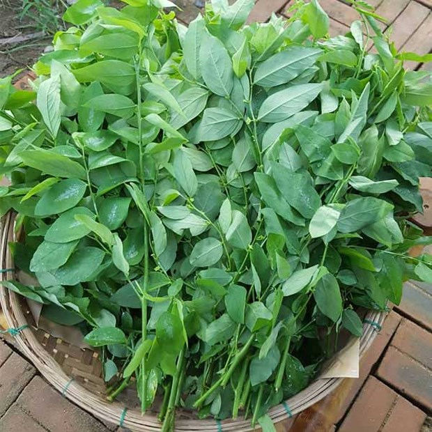 5 loại rau đang đúng mùa, đi chợ thấy là nên mua