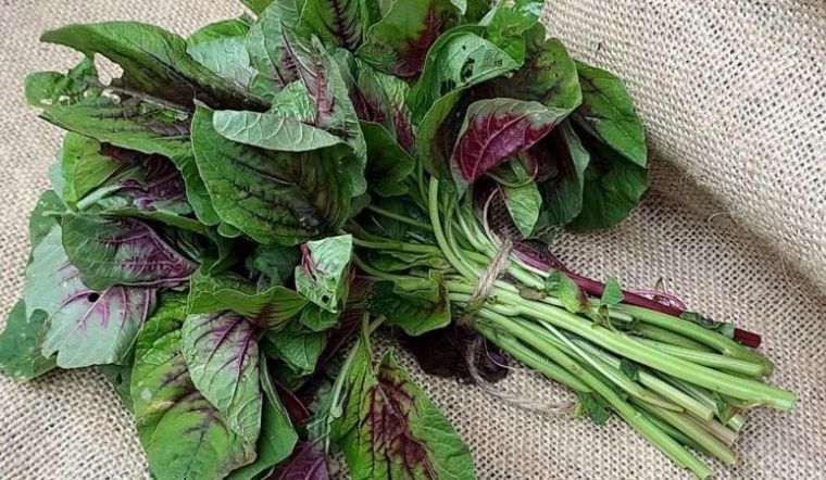 5 loại rau đang đúng mùa, đi chợ thấy là nên mua