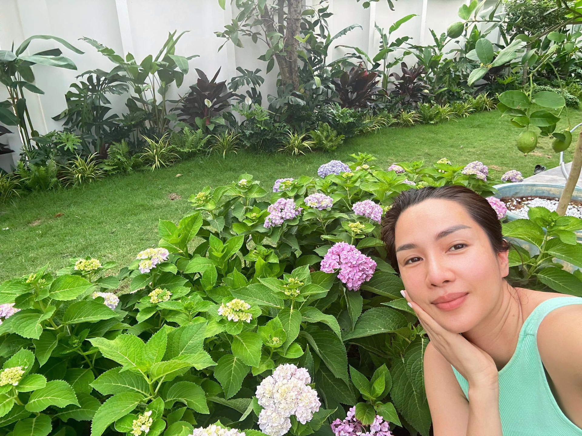 Không gian sân vườn gây ấn tượng với thảm cỏ xanh mướt cùng những khóm cẩm tú cầu Sa Đéc nở rộ