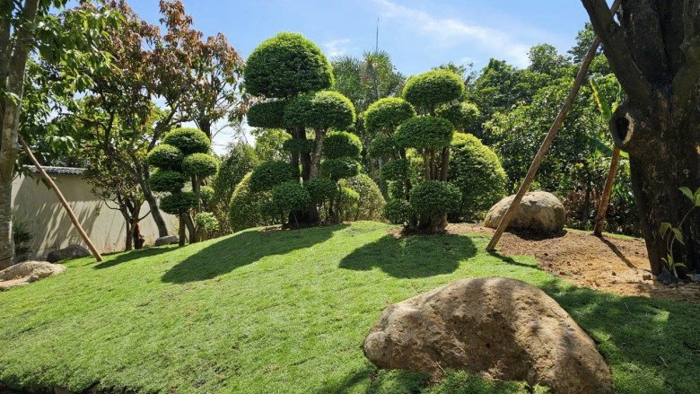 Đại mỹ nhân Việt mất tất cả vì chèn ép đồng nghiệp, coi thường đạo diễn: Giờ sống an nhàn ở nhà vườn 3000m2