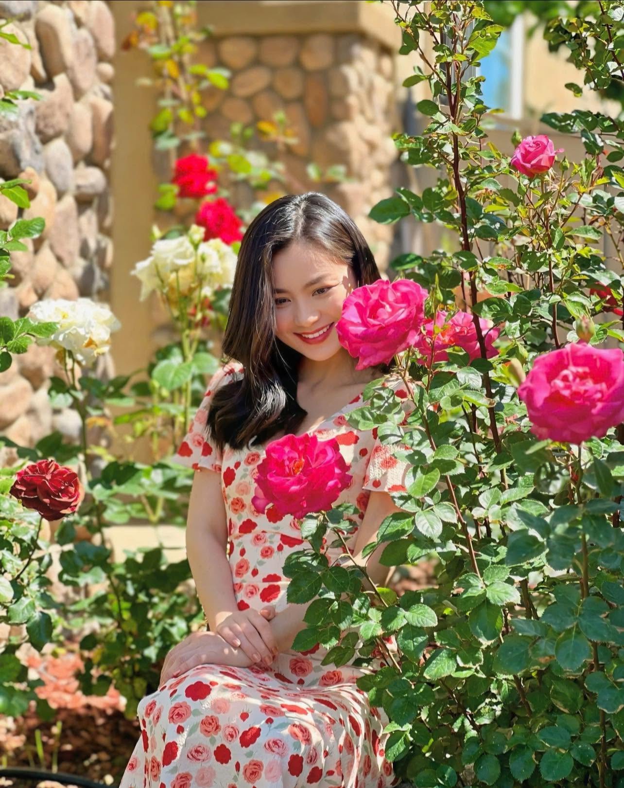 Vườn hồng thơ mộng, bông nào bông nấy đều nở rộ