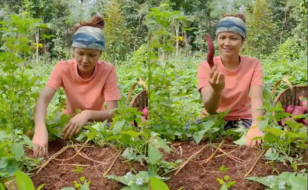 H'Hen Niê lớn lên trong một gia đình người Ê Đê với điều kiện kinh tế khó khăn. ảnh: FBNV