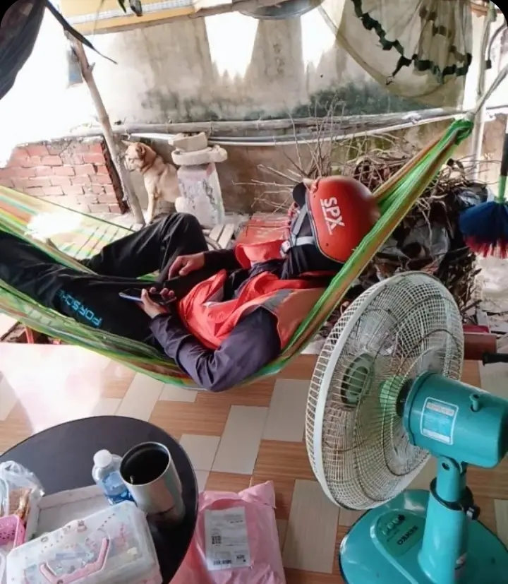 Nắng nóng quá, cho mấy ảnh nghỉ ngơi xíu các mom ơi! (Nguồn: @_thu892004, @yeuuduyynhat)
