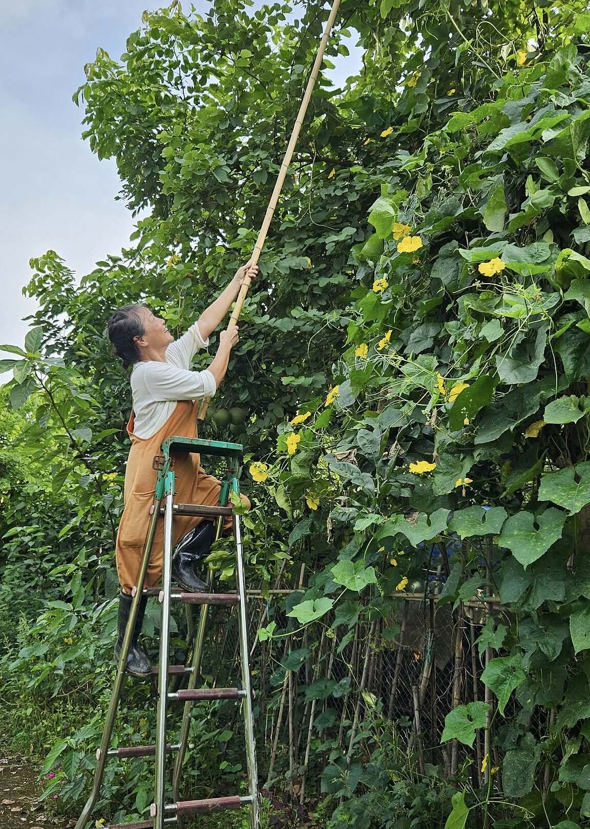 Diễn viên Tú Oanh tận hưởng cuộc sống 