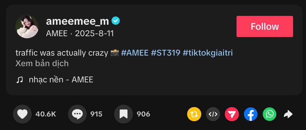 Kênh TikTok có 1,8 triệu người theo dõi của nữ ca sĩ cũng không có bài đăng mới từ tháng 8/2025. Ảnh: Chụp màn hình
