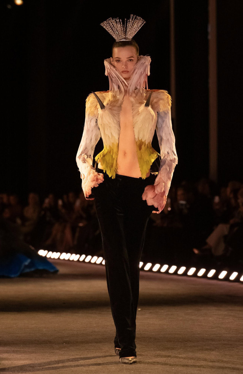 Bộ trang phục Emma lựa chọn thực chất là một thiết kế thuộc BST Haute Couture Xuân/Hè 2026 The Agony and the Ecstasy (tạm dịch: Nỗi thống khổ và sự thăng hoa), được GĐST Daniel Roseberry giới thiệu hồi đầu năm. Chiếc áo khoác nổi bật với hàng nghìn chi tiết lông vũ được xử lý thủ công theo kỹ thuật chuyển sắc sfumato, kết hợp bốn chi tiết mỏ chim điêu khắc 3D ở phần ngực và lưng và cổ áo dựng cao như đôi cánh ôm lấy khuôn mặt.