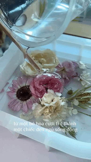 Hannah Olala được khen