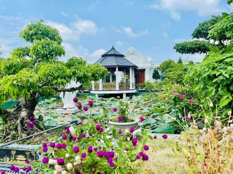 Khu vườn phủ đầy cây xanh cùng ao sen ở trung tâm căn biệt thự.