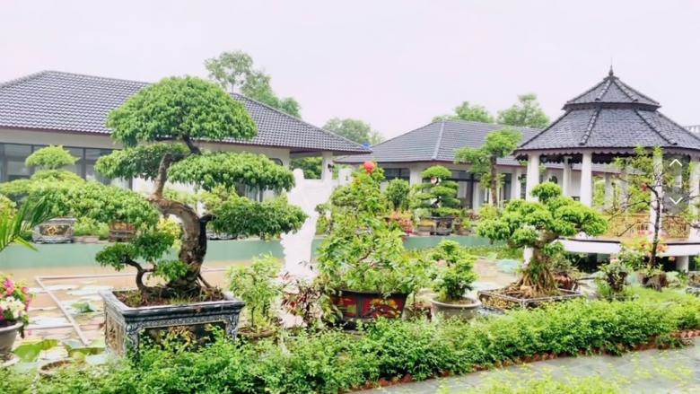 Sáng nhất Thanh Hóa: 4 anh em xây 4 căn biệt thự hướng vào nhau trên khu đất 6.000m², chi 40 tỷ để báo hiếu mẹ già