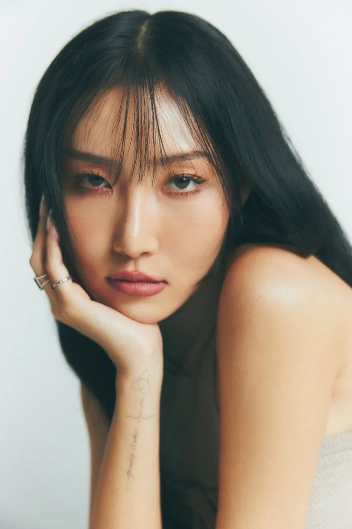 Hwasa từng có sự nghiệp solo vô cùng hoành tráng với các bài hit như Don’t, TWIT hay Maria