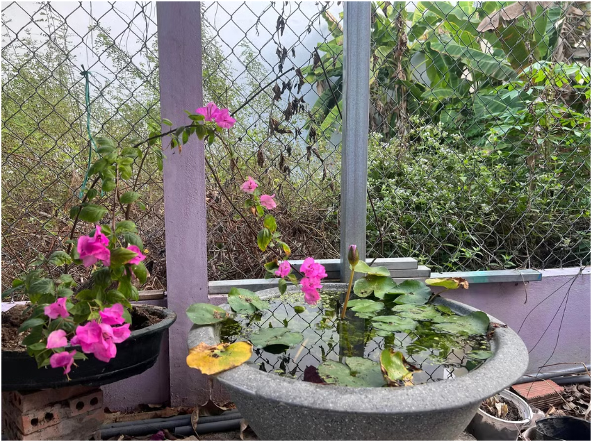 Căn nhà ở quê cô gái lấy chồng nghệ sĩ hơn mình 26 tuổi, là đại gia tưởng nhưng bị gắn mác “keo kiệt”