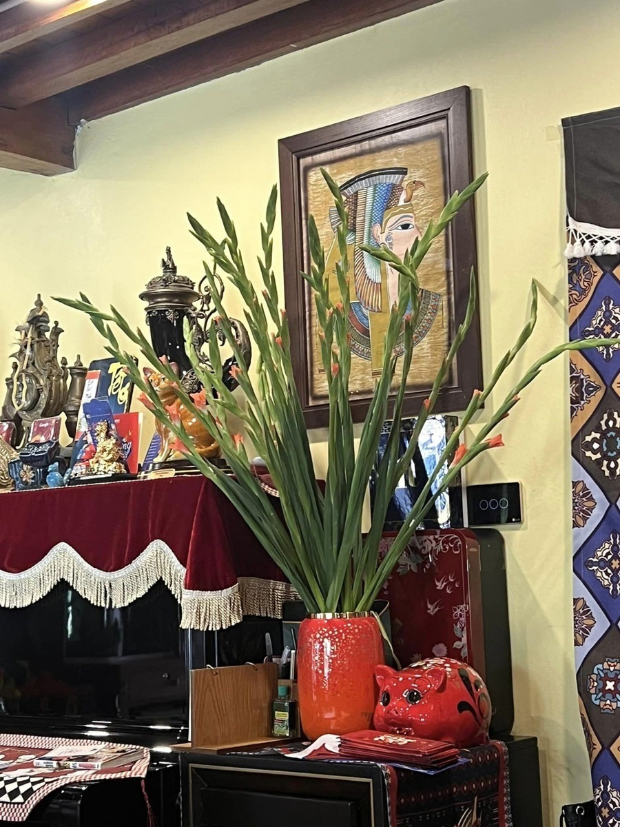 Mỗi chi tiết trong nhà đều được sắp đặt hài hòa, vừa tôn lên vẻ sang trọng của ngôi nhà, vừa thể hiện gu thưởng thức nghệ thuật tinh tế của gia chủ.