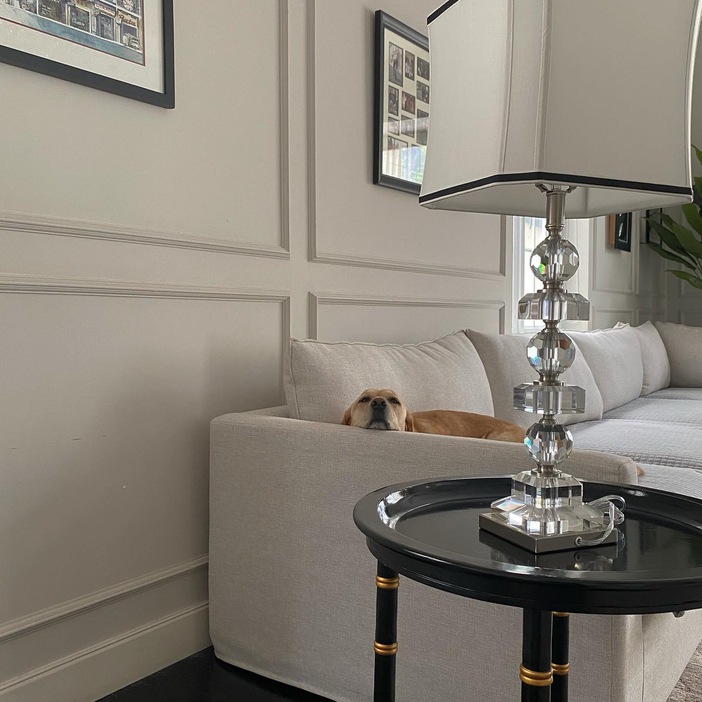 Bộ sofa lớn thường xuyên được thay đổi vải bọc (Ảnh: IGNV)