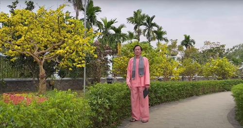 Không gian bên trong được đầu tư nhiều hạng mục, từ khu thờ tự đến sân vườn, tiểu cảnh và cây cảnh. Ảnh: Tổng hợp