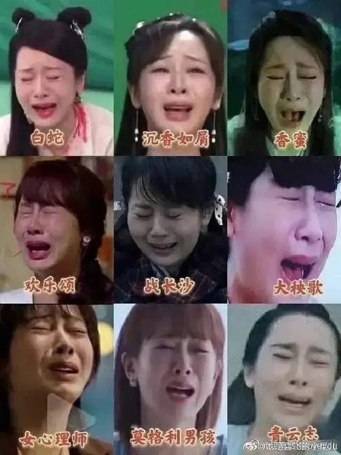 Mỹ nhân 2004 dạy cho Dương Tử, Địch Lệ Nhiệt Ba một bài học