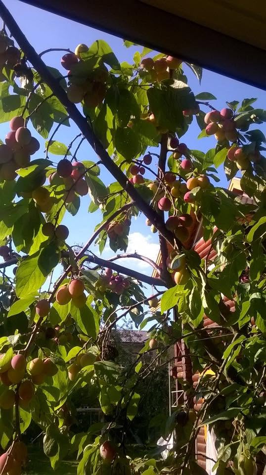 Căn nhà ở Nga của Đặng Văn Lâm