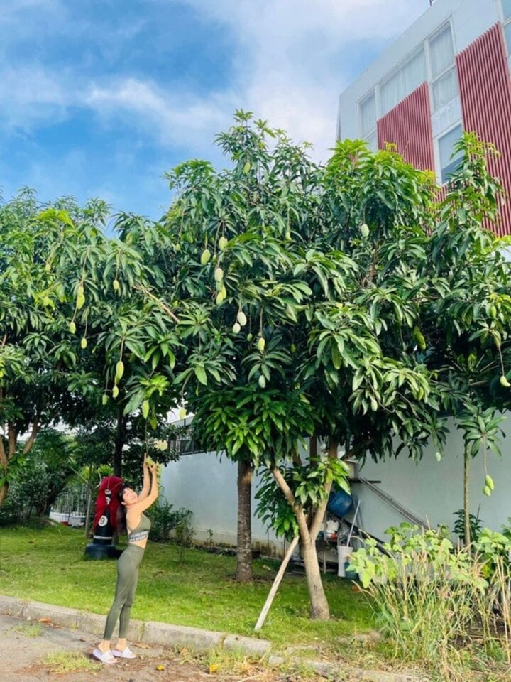 Biệt thự của Ốc Thanh Vân nổi bật với gam màu trắng, thiết kế theo phong cách hiện đại, hài hòa với không gian thiên nhiên. Ảnh: FBNV