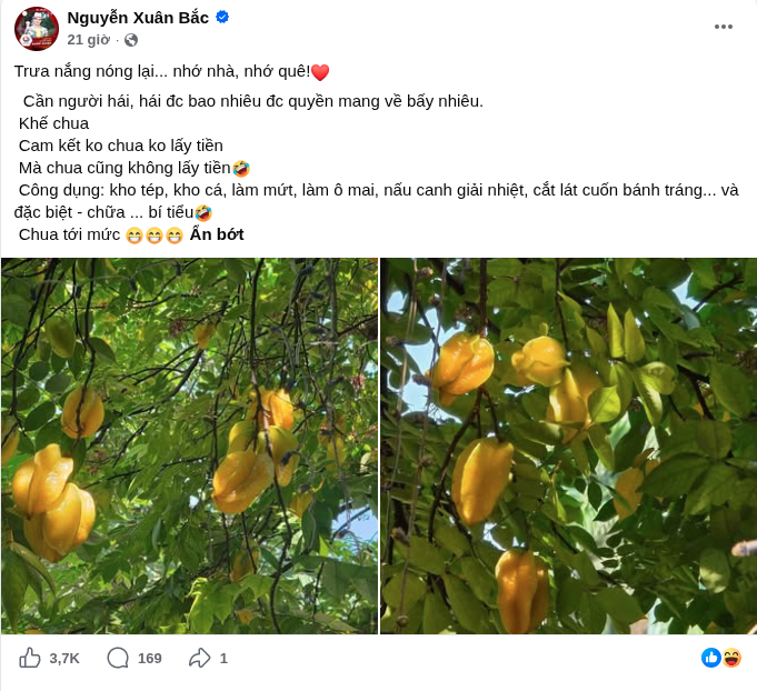 NSND Xuân Bắc hào hứng khoe cây khế trong biệt thự ngoại ô của gia đình