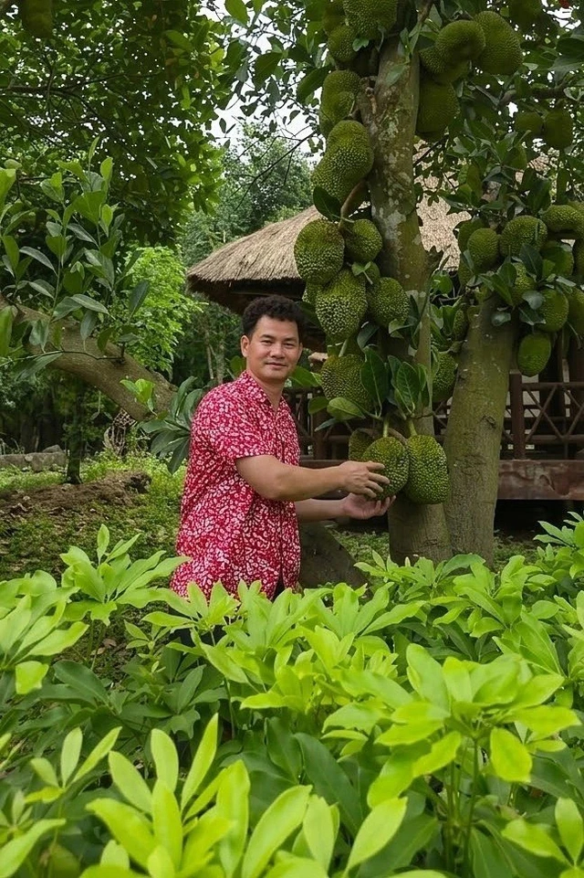 Thứ quý giá trong biệt phủ của Cục trưởng Xuân Bắc