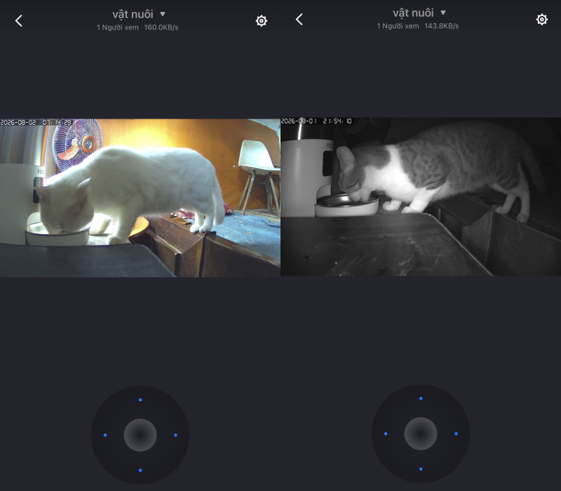 Camera lắp tại phòng trọ cho phép Tố Nga theo dõi tình hình của 2 bé mèo