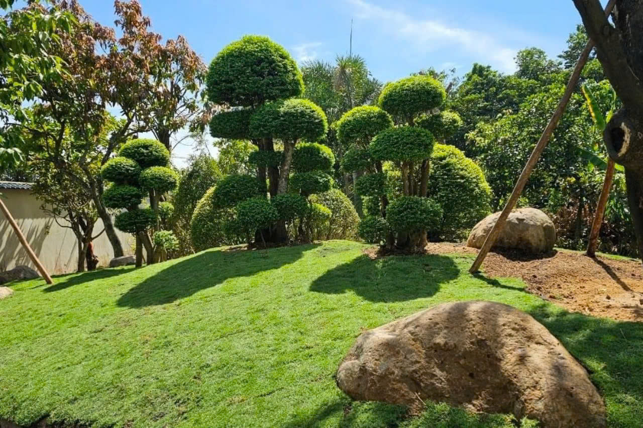Căn nhà của Việt Trinh được thiết kế theo phong cách hiện đại, tối giản với tông trắng chủ đạo. Ảnh: FBNV