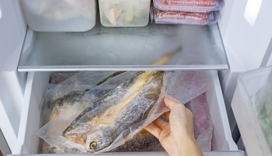 Cá bảo quản trong tủ lạnh được bao lâu?