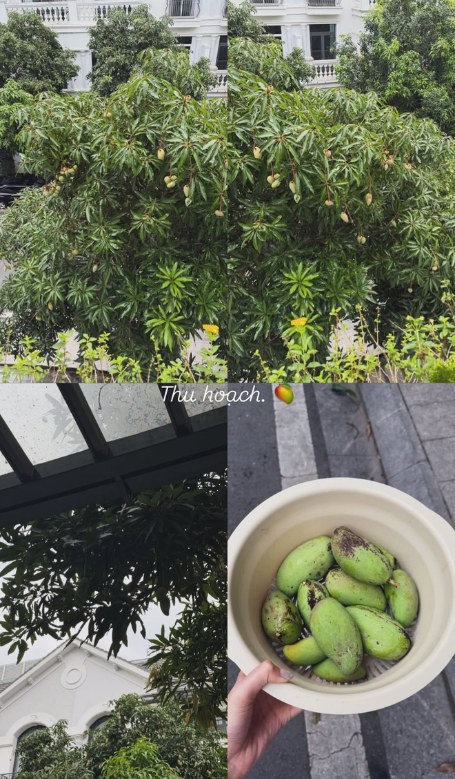 2 mỹ nhân nổi tiếng cùng lấy cầu thủ, ở biệt thự chục tỷ tại Hà Nội: Doãn Hải My và Ngô Tố Uyên có điểm chung bất ngờ