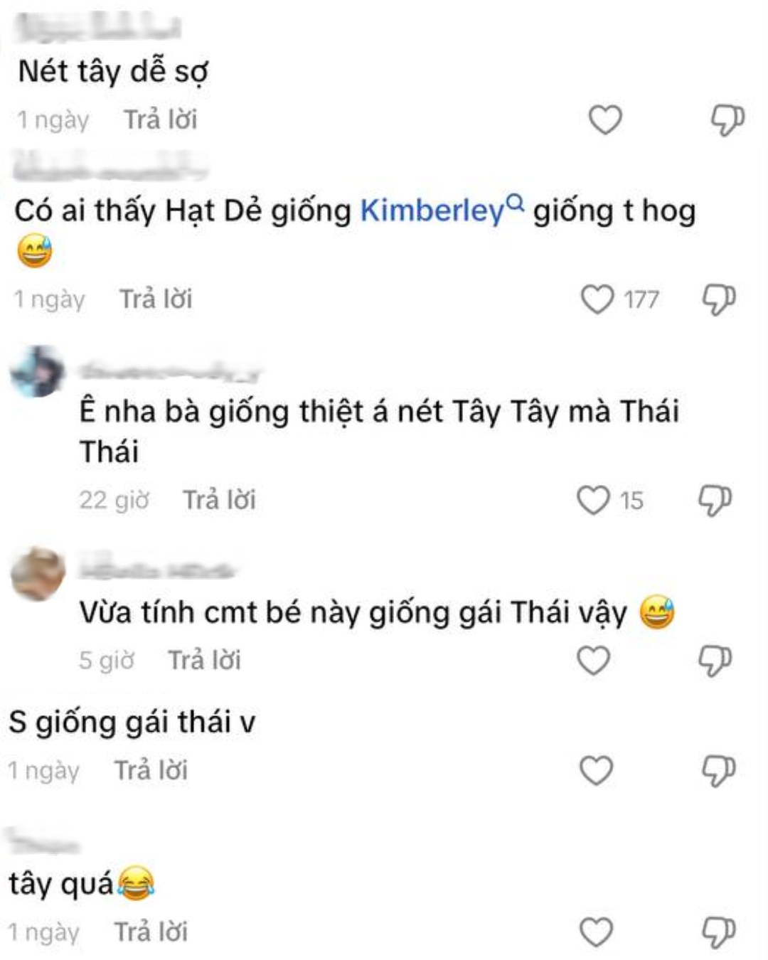 Đường nét lai Tây của Hạt Dẻ nhận được nhiều lời khen.
