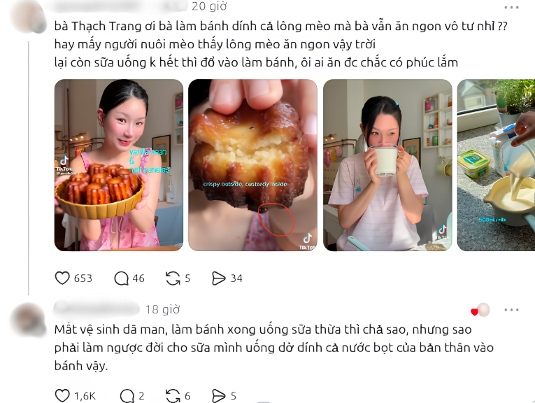 Tranh cãi nội dung làm bánh của Thạch Trang. Ảnh chụp màn hình.