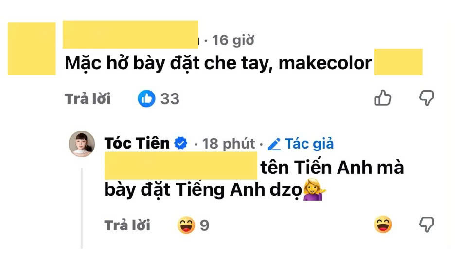 Nữ ca sĩ thẳng thắn đáp trả khi bị một netizen nói rằng đang làm màu. Ảnh: Chụp màn hình