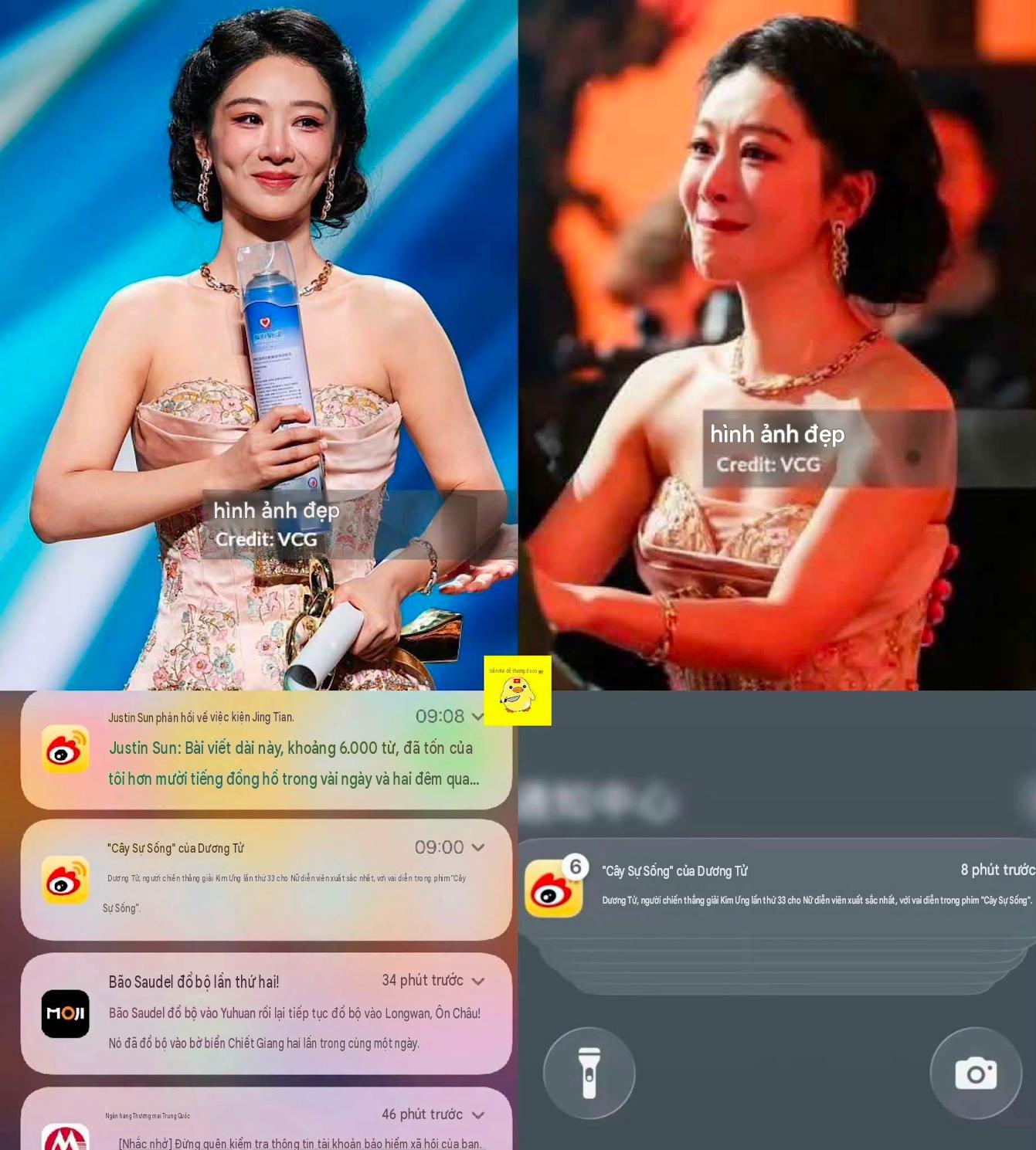 Dương Tử bị vạch mặt