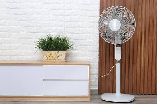 Nên dùng quạt trần hay quạt cây thì mát hơn?