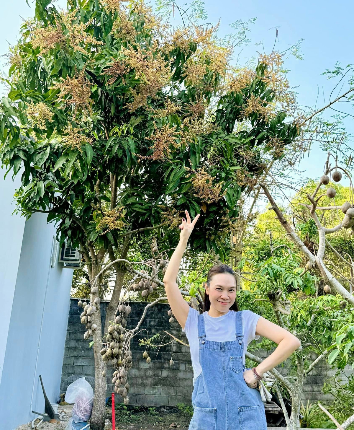 Vườn nhà nghìn mét vuông của Mỹ Tâm