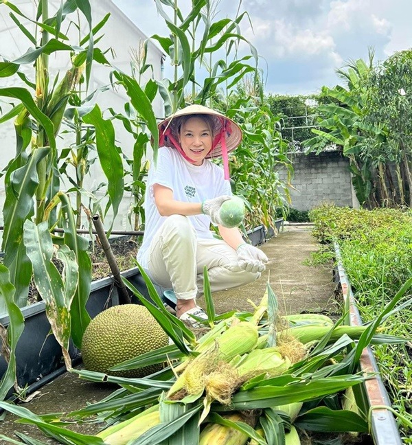 Vườn nhà nghìn mét vuông của Mỹ Tâm