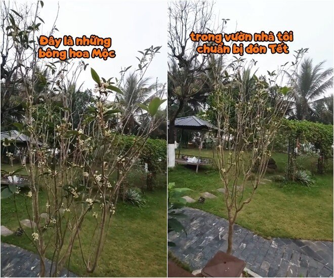 Vườn nhà nghìn mét vuông của NSND Xuân Bắc
