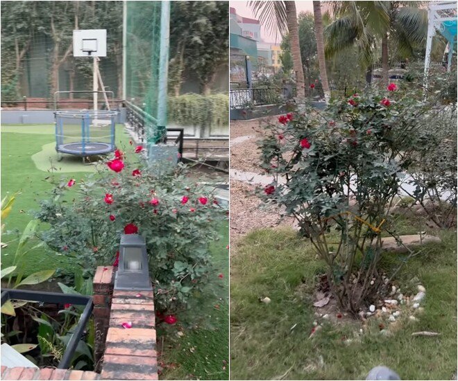 Vườn nhà nghìn mét vuông của NSND Xuân Bắc