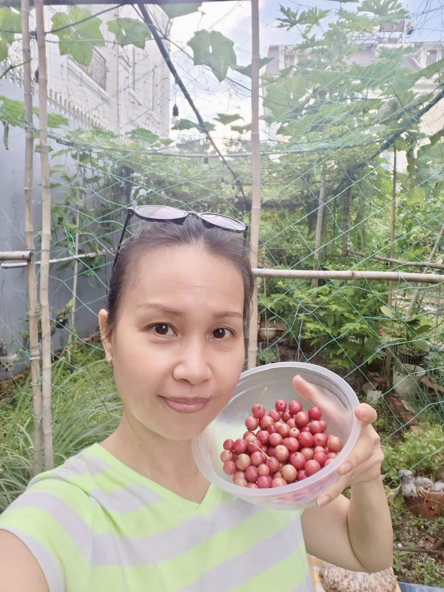 Khu vườn trong biệt thự 400m2 của Cẩm Ly