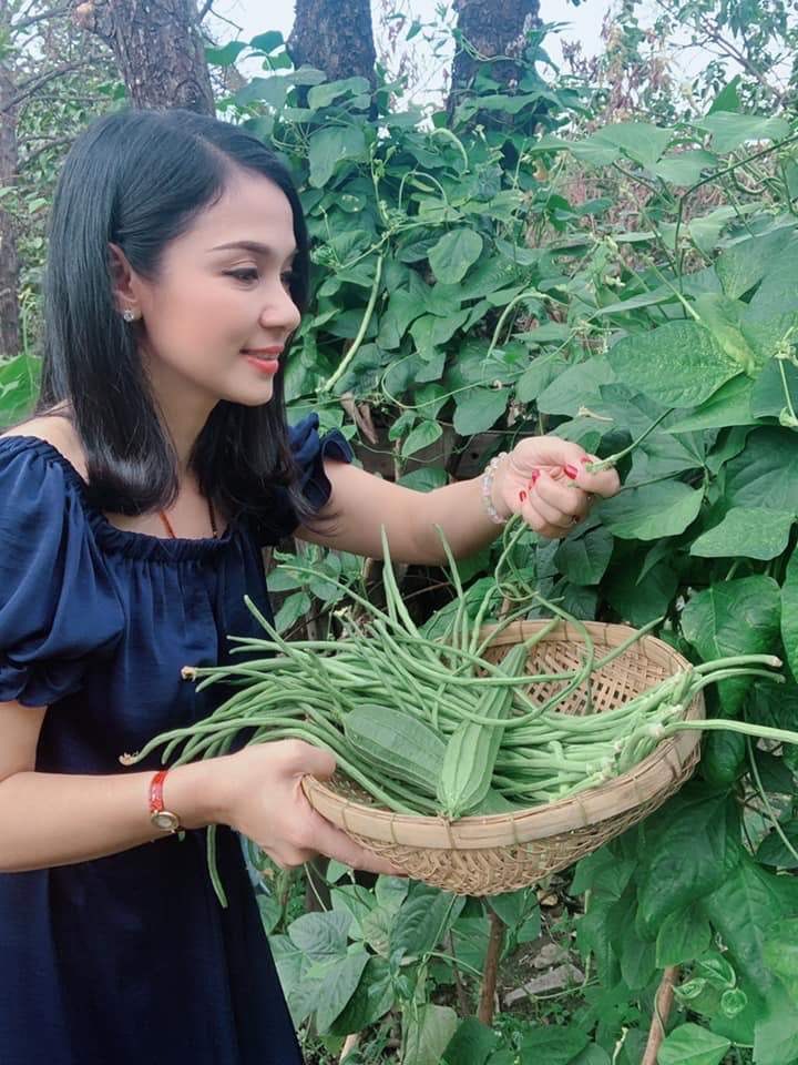 Vườn nhà 3.000m² của