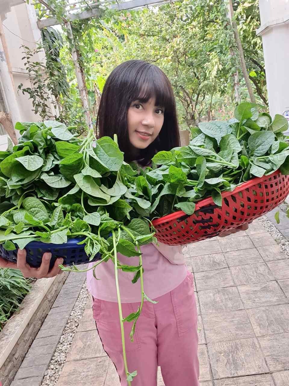 Vườn nhà 3.000m² của
