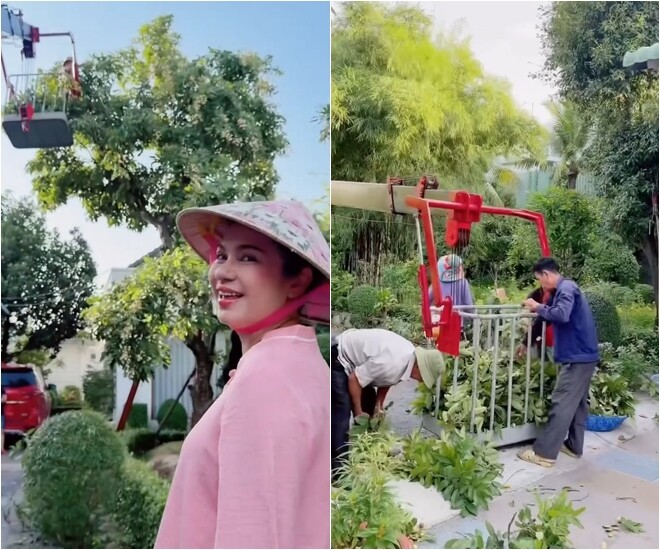 Vườn nhà 3.000m² của