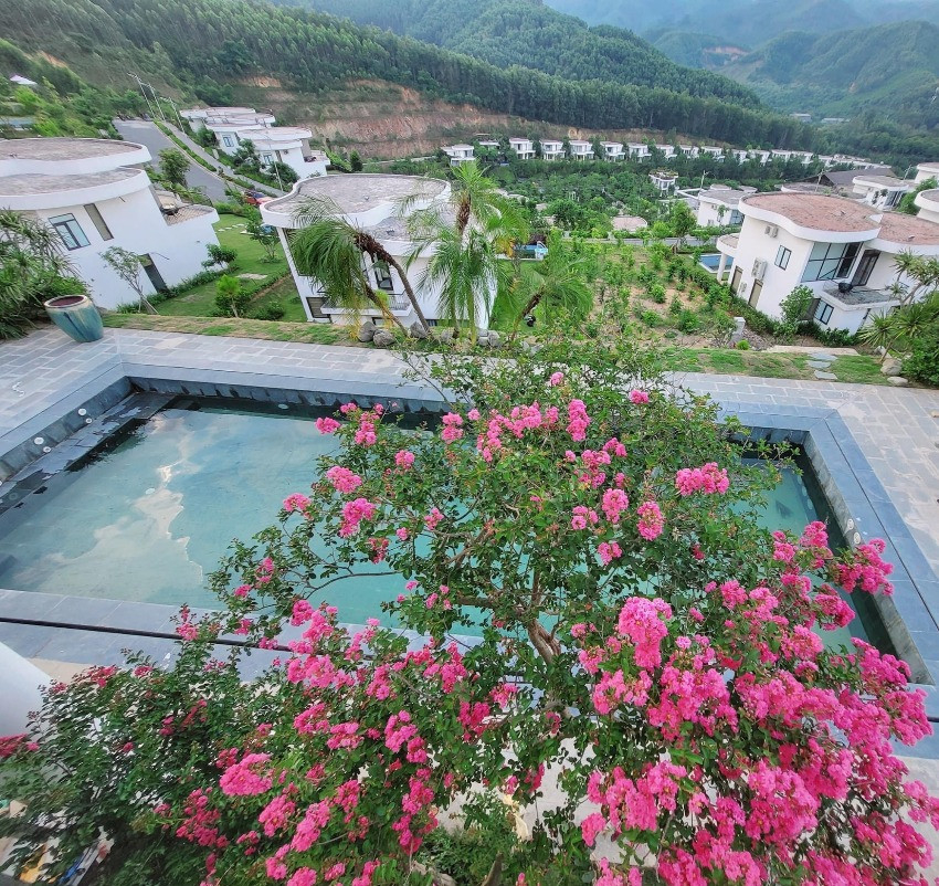 Vườn nhà Mạnh Trường