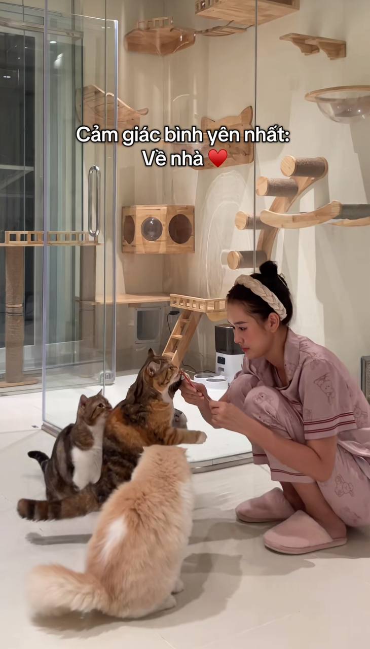 Chơi với mèo, cho mèo ăn... cũng là một hoạt động yêu thích trong ngày của Anh Phạm.